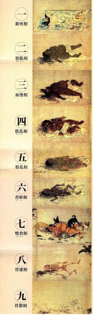 五行缺木取什么名字_男孩五行缺木取什么名字,第11张