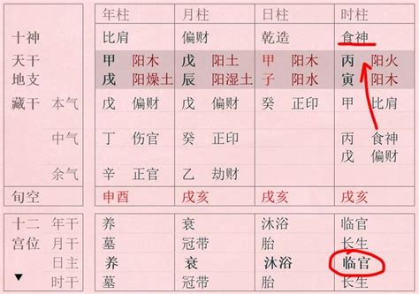 八字十神食神是什么意思_八字十神食神代表什么,第11张