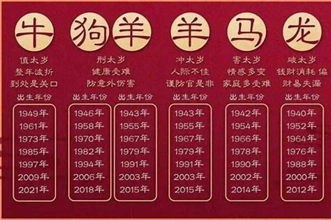 2023年是属什么年_2023年是属什么年五行属什么,第2张