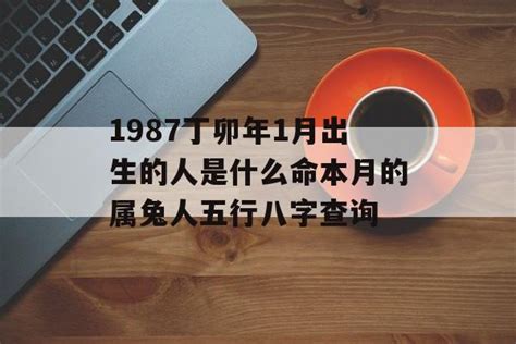 丁卯年五行属什么_丁卯年出生的人是什么命,第4张