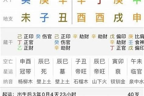 丁未年五行属什么_丁未年出生的人是什么命,第2张