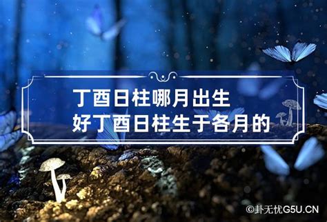 丁酉日柱是上等日柱吗_丁酉日柱生于各月精论,第3张