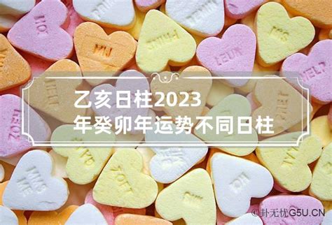 乙亥日柱2023年癸卯年运势_乙亥日柱走什么大运好,第2张