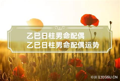 乙巳日柱男命配偶_乙巳日柱男命详解,第2张