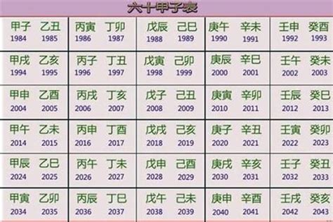 乙酉年五行属什么_乙酉年出生的人是什么命,第2张