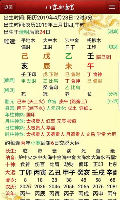 免费八字排盘终身详解_免费八字排盘算命详解,第2张