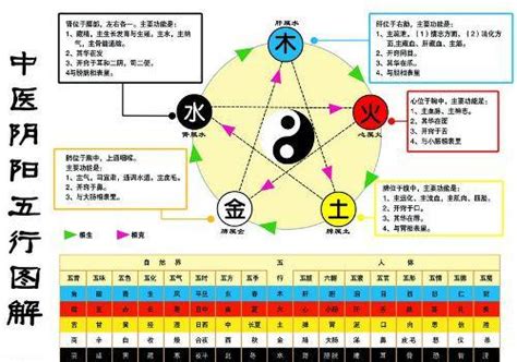 土生金金生水是什么意思_到底是土生金还是水生金,第4张