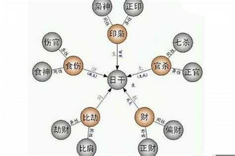 四柱八字入门_四柱八字基础知识入门汇总,第2张