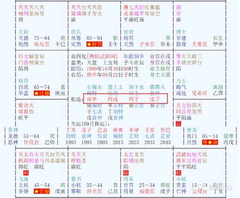 在线紫微排盘_中国紫微斗数排盘,第2张