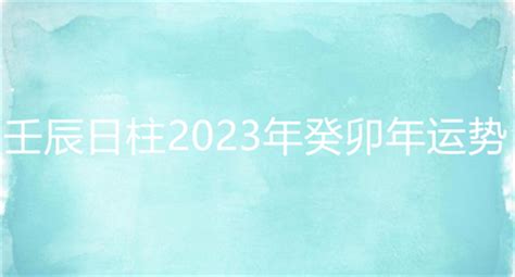 壬辰日柱2023年癸卯年运势_壬辰日柱走什么大运好,第2张