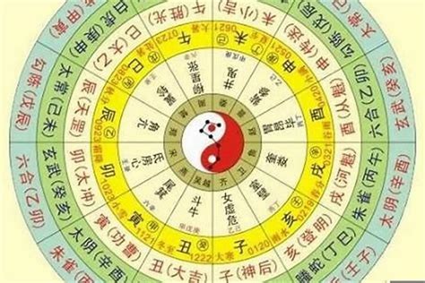 己巳年五行属什么_己巳年出生的人是什么命,第2张