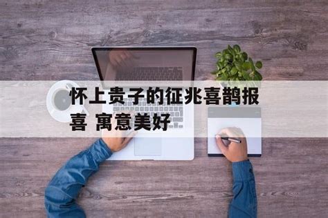 怀上贵子的征兆_怀上贵子的征兆有哪些,第2张