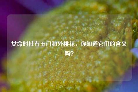 八字时柱有桃花是什么意思_时柱有桃花一定外遇吗,第9张