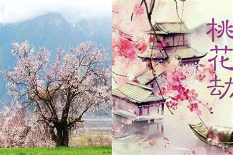 桃花劫是什么意思_桃花劫怎么化解,第2张
