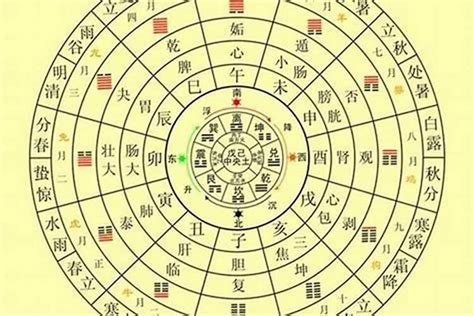 水命和木命相配吗_水命跟木命相配怎么样,第5张