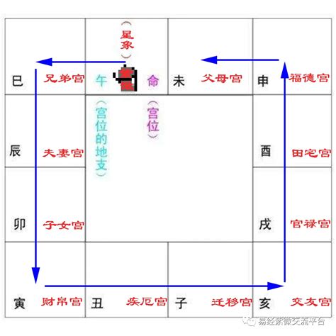 紫微命盘怎么看_紫微排盘怎么解读,第16张