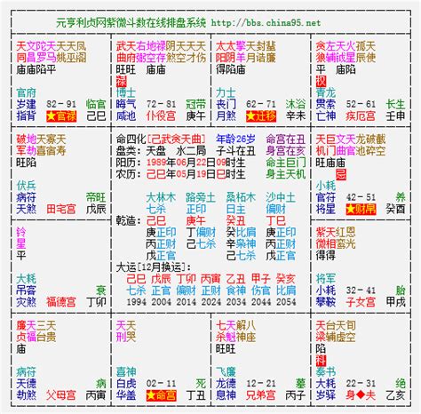 紫微斗数算命详批_紫微斗数在线排盘详解,第3张