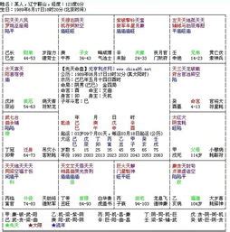 紫薇算命婚姻_紫薇命盘解读分析,第10张