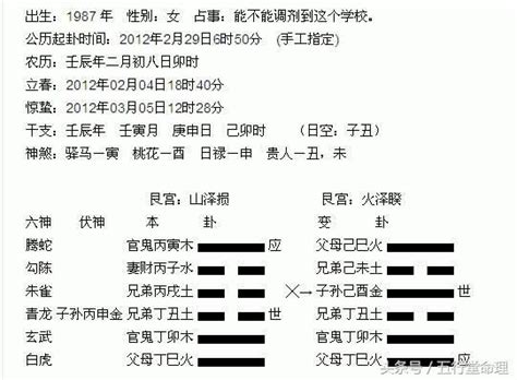 纳甲六爻在线排盘_纳甲六爻在线排盘解卦,第2张