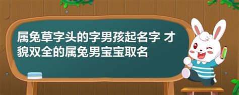 草字头的字男孩起名字_草字头的字男孩起名字属兔,第10张