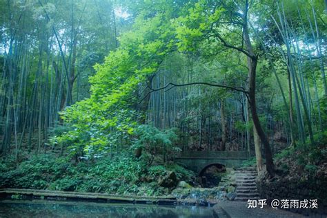 五行属木的字有哪些字女孩子名_属性为木的字女孩名字有哪些,第5张 五行属木的字有哪些字女孩子名_属性为木的字女孩名字有哪些,第5张