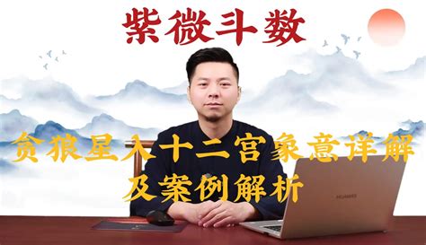 贪狼星入命宫_贪狼星入十二宫详解,第6张