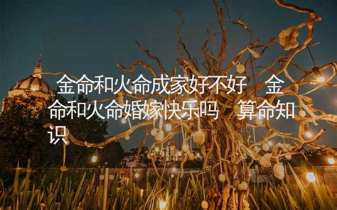 金命和火命合不合结婚_金命和火命合不合婚姻,第2张