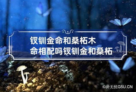 金命和金命相配吗婚姻_金命和金命相配不,第2张