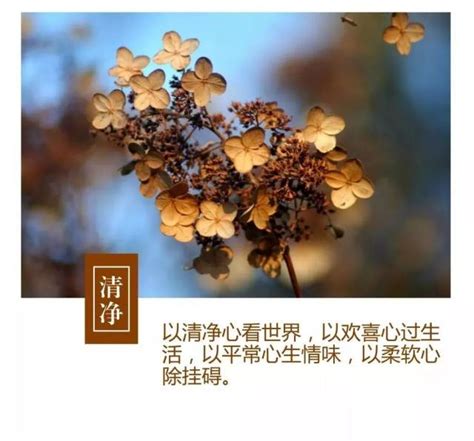 佛缘到了的人身体总不好_佛缘到了的表现不喜欢荤菜,第5张 佛缘到了的人身体总不好_佛缘到了的表现不喜欢荤菜,第5张