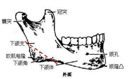 水多的女孩子有什么特点吗_水多的女孩子有什么特点性格,第4张