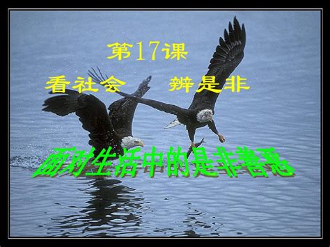 佛缘到了的人身体总不好_佛缘到了的表现不喜欢荤菜,第16张 佛缘到了的人身体总不好_佛缘到了的表现不喜欢荤菜,第16张