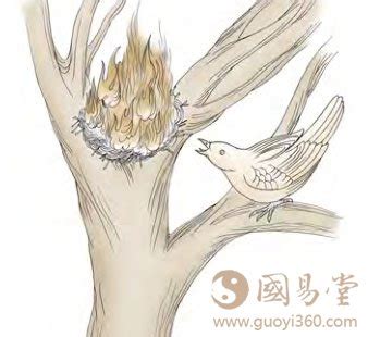 火山旅卦详解_火山旅卦详解卦辞,第17张 火山旅卦详解_火山旅卦详解卦辞,第17张