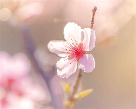 癸丑日柱女命婚姻_癸丑日柱看配偶家境,第11张 癸丑日柱女命婚姻_癸丑日柱看配偶家境,第11张