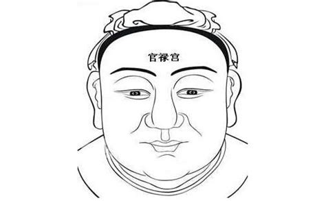 贪狼星入命宫_贪狼星入十二宫详解,第20张