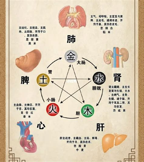 城市五行属性查询表_各个城市的五行,第4张 城市五行属性查询表_各个城市的五行,第4张