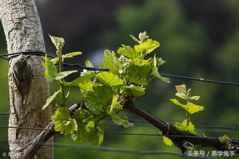 算命不求人农历算命法财运_算命不求人农历算命法万历年,第9张 算命不求人农历算命法财运_算命不求人农历算命法万历年,第9张