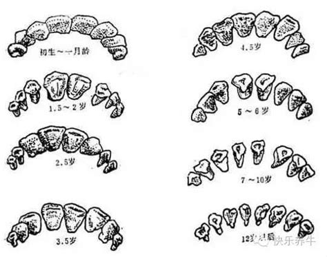 旺妻男子的八字命理特征_男命旺妻的八字有什么特征,第22张