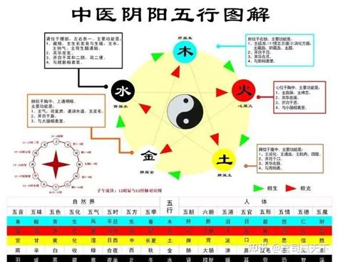 生辰八字五行算命查询免费_生辰八字五行算命免费,第8张