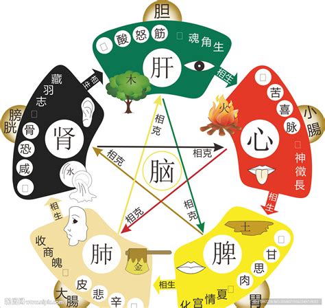 生辰八字五行算命查询_如何查询五行八字算命,第3张 生辰八字五行算命查询_如何查询五行八字算命,第3张