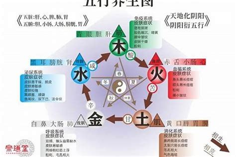 博字五行属什么_博字五行属什么男孩名字,第6张