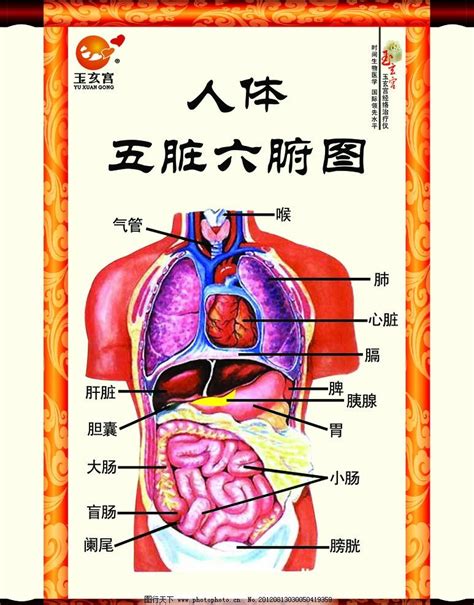 壬水命是什么意思_壬水和癸水的区别,第22张