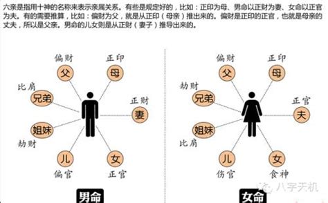 适合从事律师的八字_律师是五行属什么的行业,第7张
