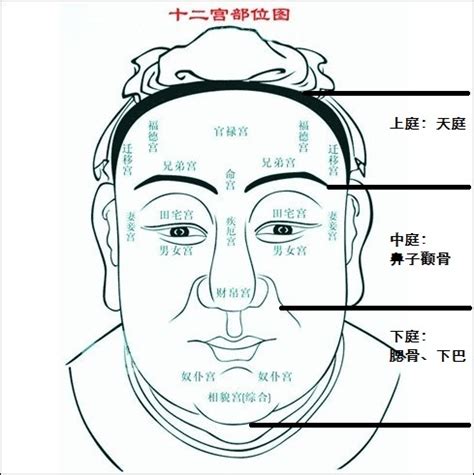 旺妻男子的八字命理特征_男命旺妻的八字有什么特征,第23张 旺妻男子的八字命理特征_男命旺妻的八字有什么特征,第23张