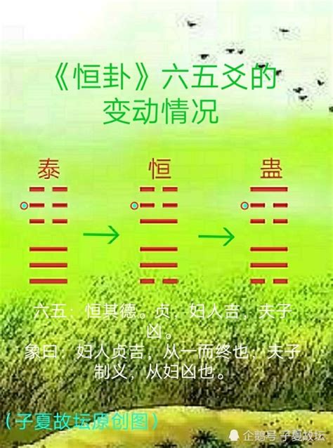 雷泽归妹卦详解财运_六十四卦雷泽归妹卦详解,第13张