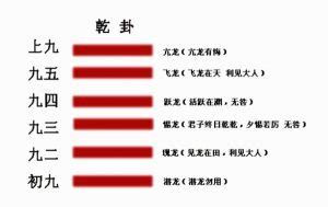 乾卦详解疾病_乾卦详解感情,第3张 乾卦详解疾病_乾卦详解感情,第3张