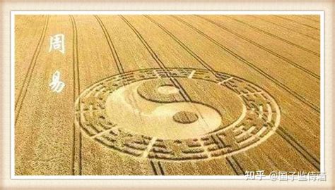 泽水困卦详解事业_泽水困卦详解财运,第15张 泽水困卦详解事业_泽水困卦详解财运,第15张