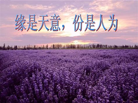 姓名配对姻缘测试准吗_姓名配对姻缘测试打分,第22张 姓名配对姻缘测试准吗_姓名配对姻缘测试打分,第22张