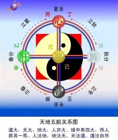 十天干十二地支五行属性表_十天干十二地支是什么意思,第5张