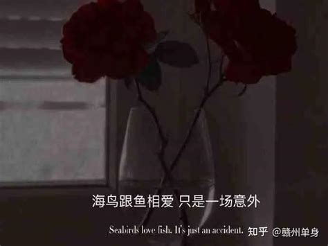梦到掉牙会是家里老人去世吗_梦见掉牙老人要去世吗,第7张 梦到掉牙会是家里老人去世吗_梦见掉牙老人要去世吗,第7张