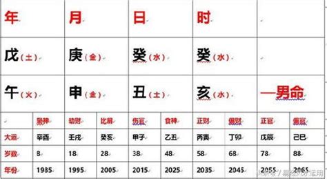 命格分析_命格高是什么意思,第13张